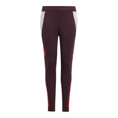 2024-2025 Bayern Munich Training Pants (Shadow Maroon) - Kids_1