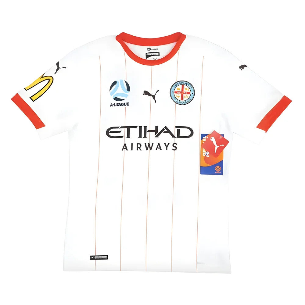 2020-2021 Melbourne City Third Shirt_1