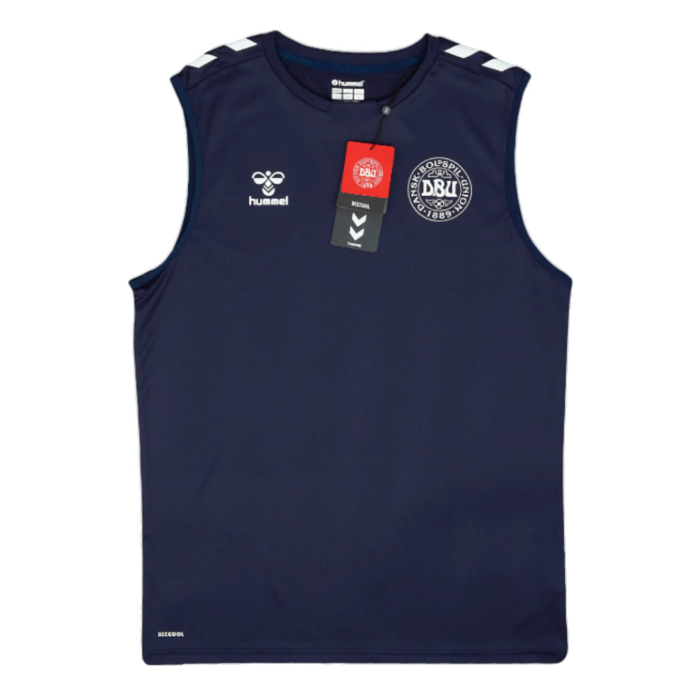 2024-2025 Denmark Sleeveless Training Jersey (Marine)_1