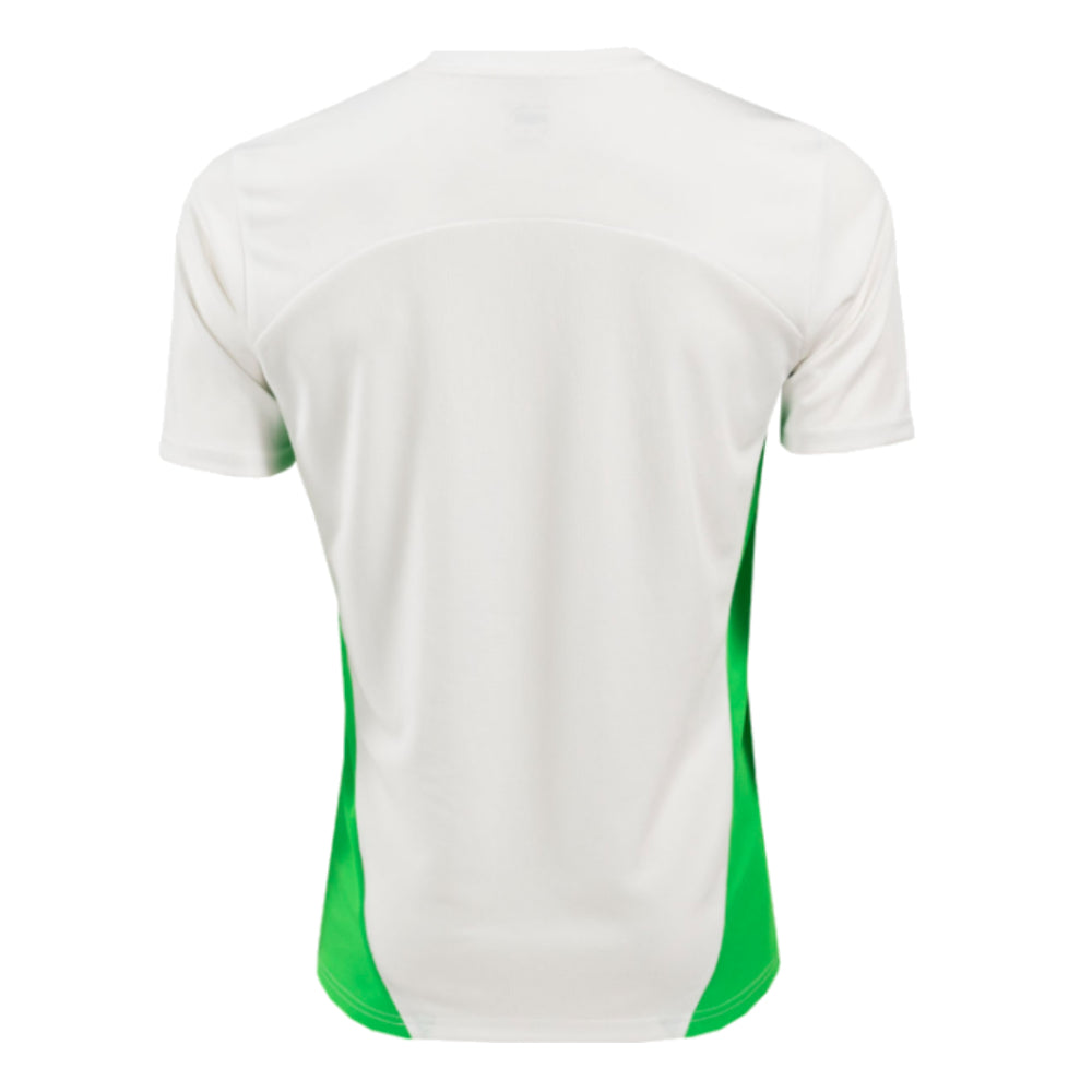2024-2025 PSV Eindhoven Training Shirt (White)_3