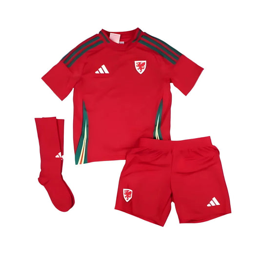 2024-2025 Wales Home Mini Kit_1