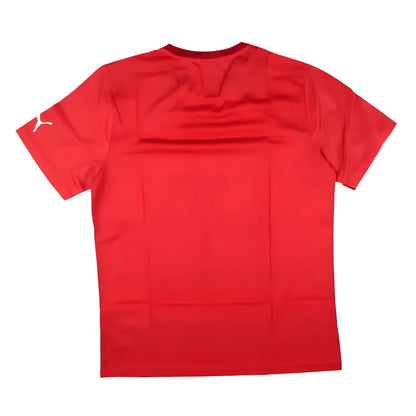 Puma Training Tee (Red)_1