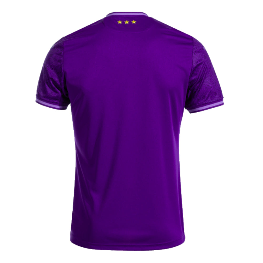 2024-2025 Anderlecht Home Shirt_3