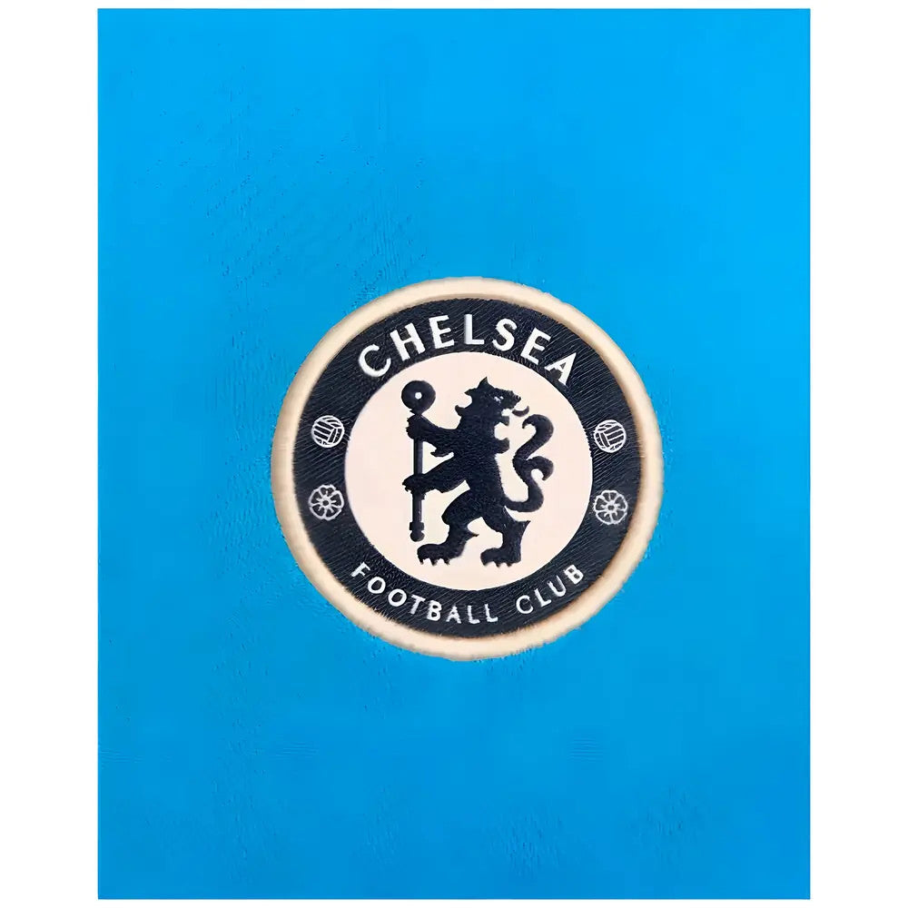 2024-2025 Chelsea Strike Dri-FIT Knit Shirt (Light Photo Blue)_2