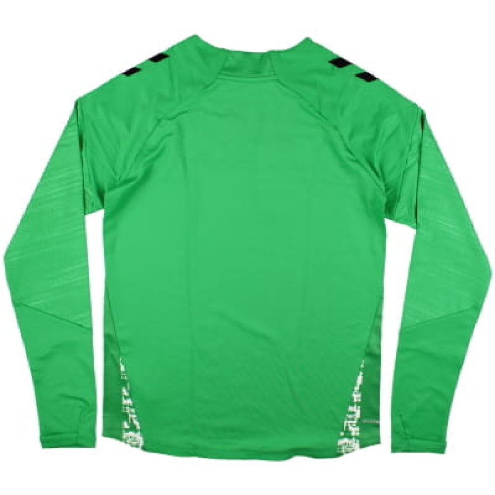 2024-2025 Real Betis Crew Neck Sweatshirt (Green)_1