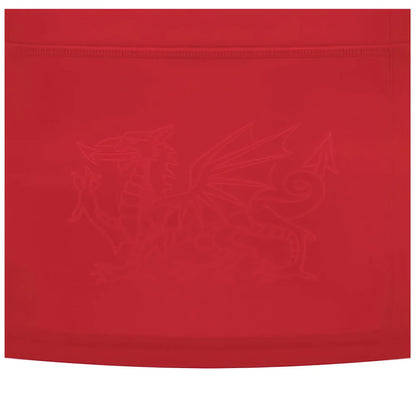 2024-2025 Wales WRU Home Replica Rugby Shirt (Womens)_2