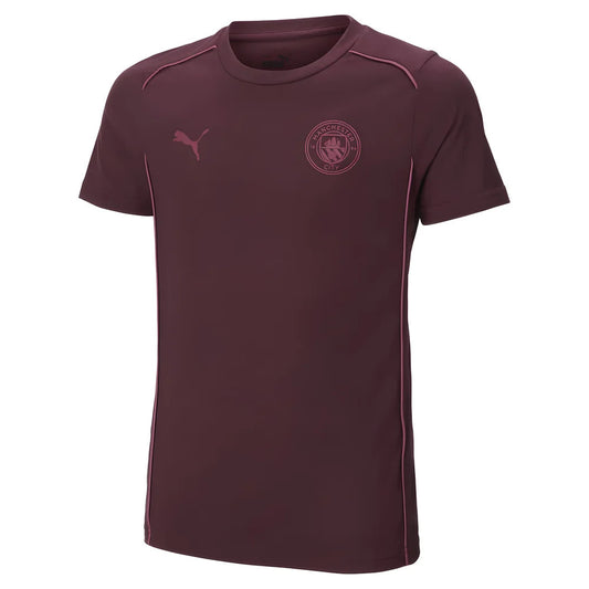 2024-2025 Man City Casuals Tee (Dark Jasper)_1