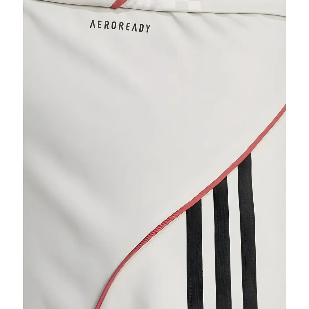 2025-2026 Benfica Away Shorts (Wonder Alumina)_2