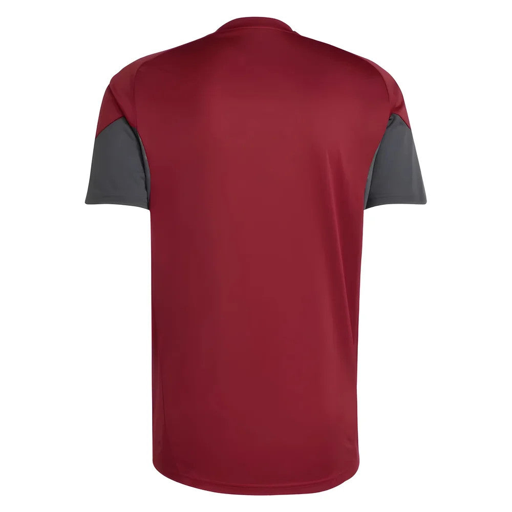 2025-2026 Arsenal EU Training Jersey (Burgundy)_2