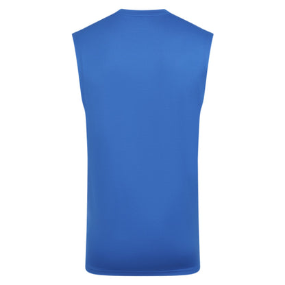 2025-2026 Wolves Players Training Vest (Lapis Blue)_2