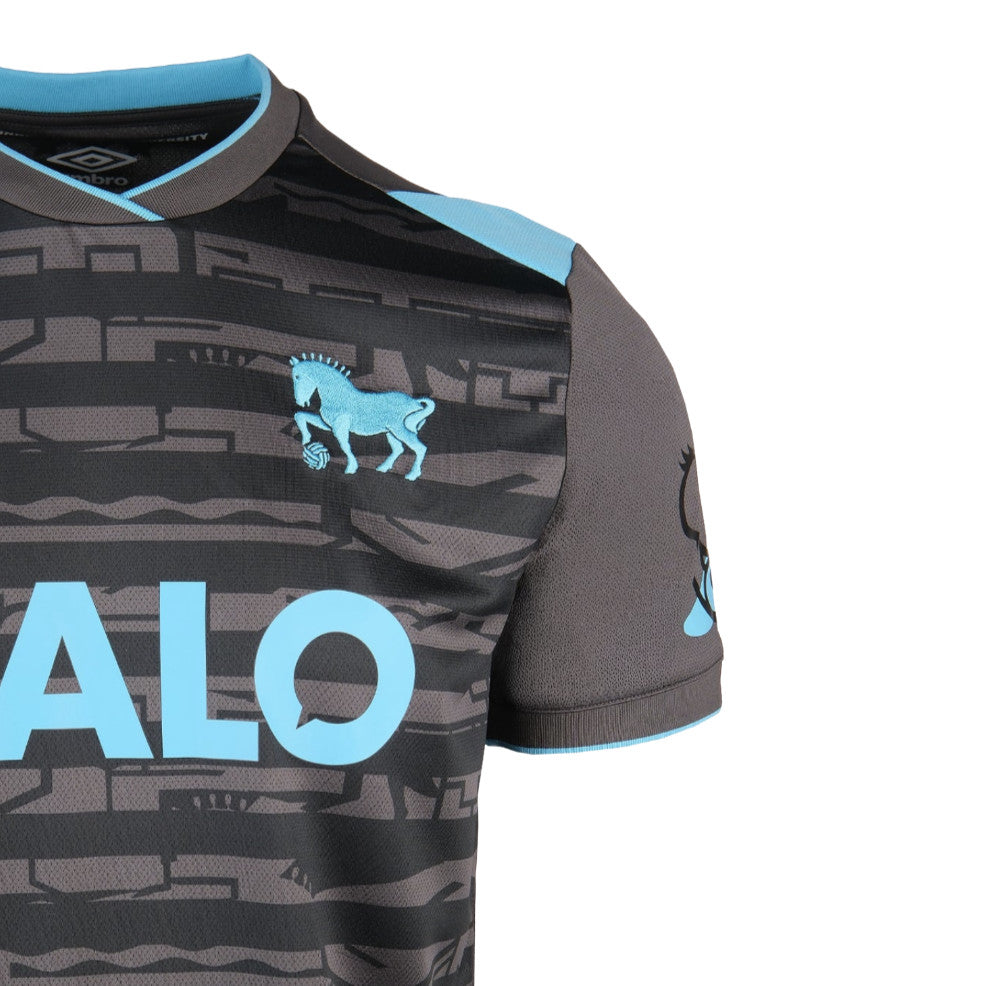 2025-2026 Ipswich Town Third Shirt (Womens)_3