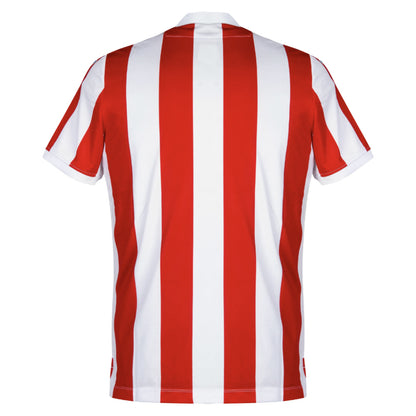 2018-2019 Stoke City Home Shirt_2