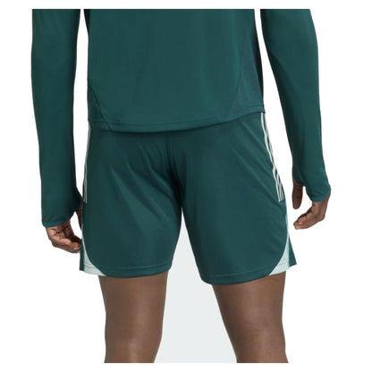2025-2026 Arsenal Training Shorts (Aurora Ivy)_1