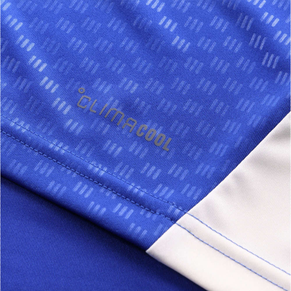 2026-2027 Juventus Training Jersey (Bold Blue)_3