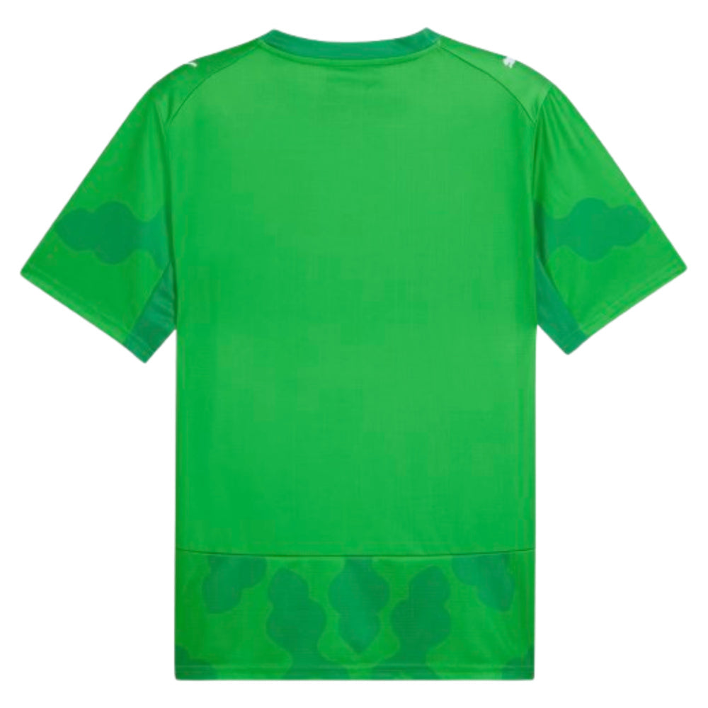 2026-2027 Egypt Goalkeeper Shirt (Green)_1