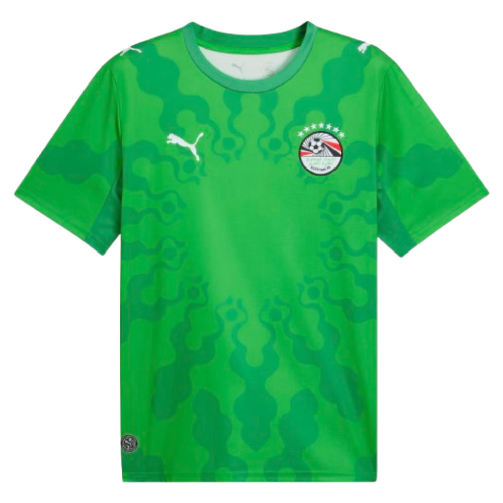 2026-2027 Egypt Goalkeeper Shirt (Green)_0
