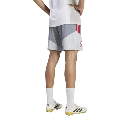2026-2027 Liverpool EU Training Shorts (Grey)_1